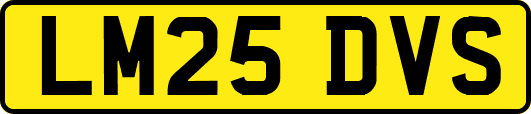 LM25DVS