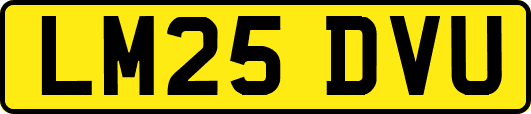 LM25DVU