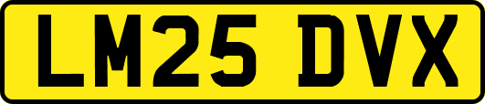 LM25DVX