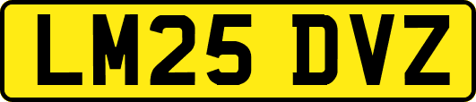 LM25DVZ