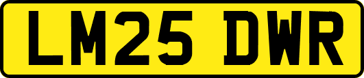 LM25DWR