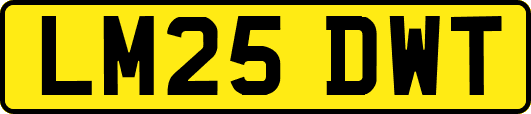 LM25DWT