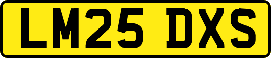 LM25DXS