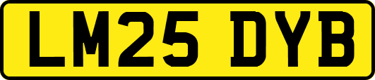 LM25DYB