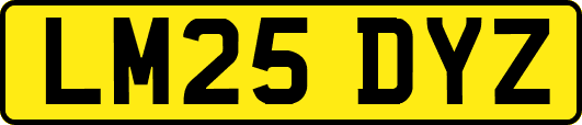 LM25DYZ