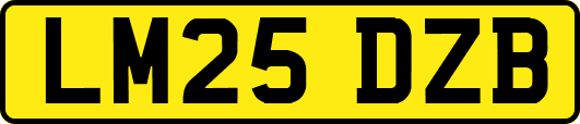 LM25DZB