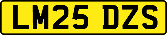 LM25DZS