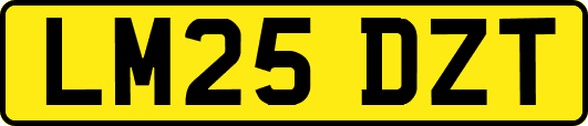 LM25DZT