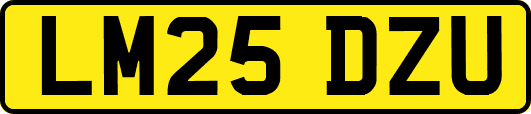 LM25DZU