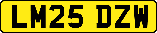 LM25DZW