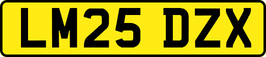 LM25DZX