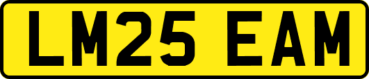 LM25EAM