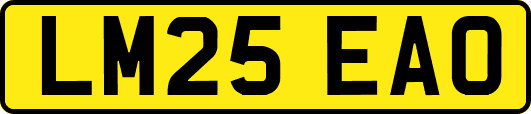 LM25EAO