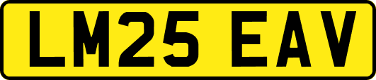 LM25EAV