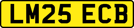 LM25ECB