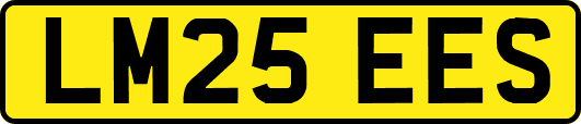 LM25EES