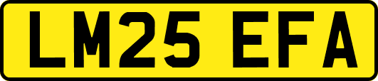 LM25EFA