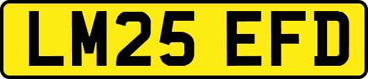 LM25EFD