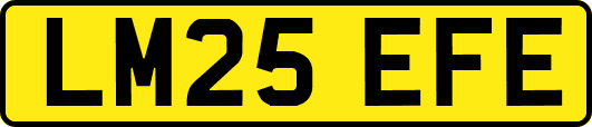 LM25EFE