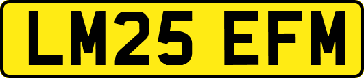 LM25EFM