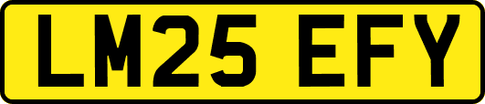LM25EFY
