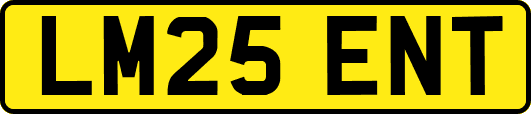 LM25ENT