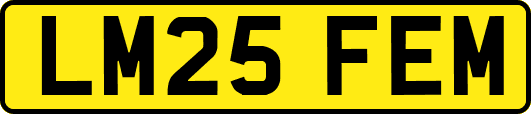 LM25FEM