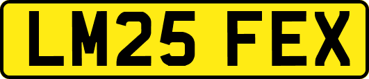 LM25FEX