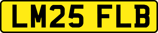 LM25FLB