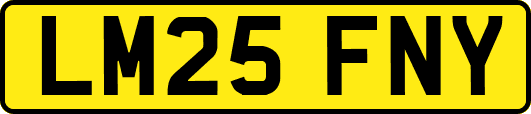 LM25FNY