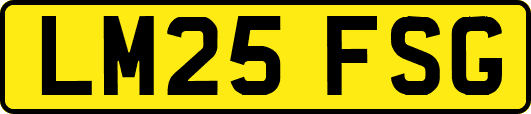 LM25FSG