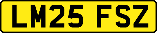 LM25FSZ