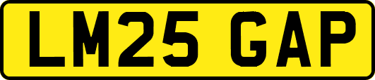 LM25GAP