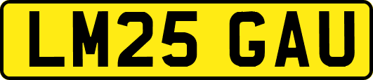 LM25GAU
