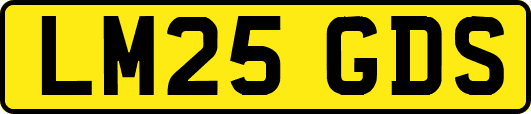 LM25GDS