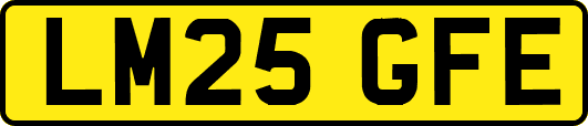 LM25GFE