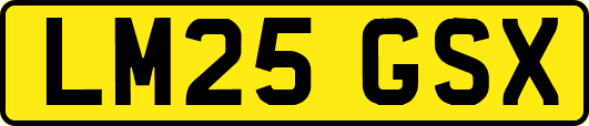 LM25GSX