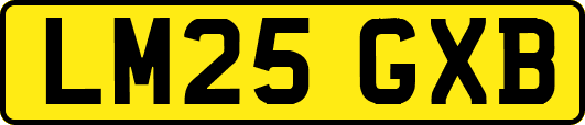 LM25GXB