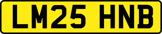 LM25HNB