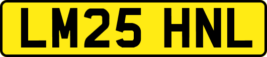 LM25HNL