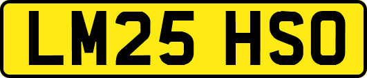 LM25HSO