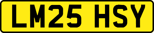 LM25HSY