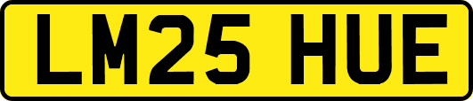 LM25HUE