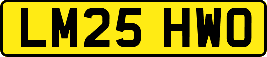 LM25HWO