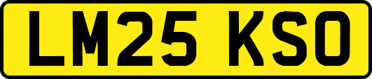 LM25KSO