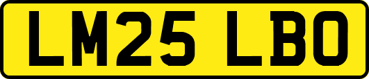 LM25LBO