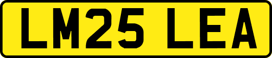 LM25LEA