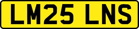 LM25LNS