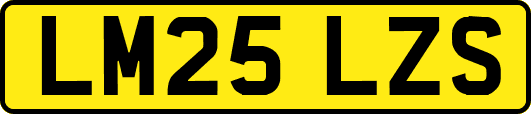 LM25LZS