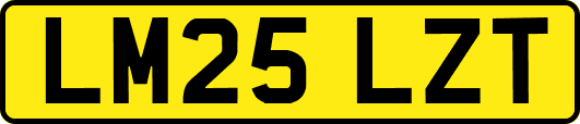 LM25LZT